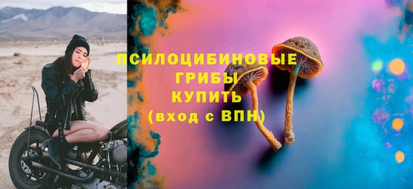 соль курить ск Белокуриха