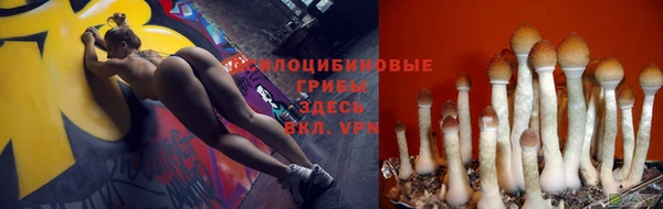 2c-b Белоозёрский