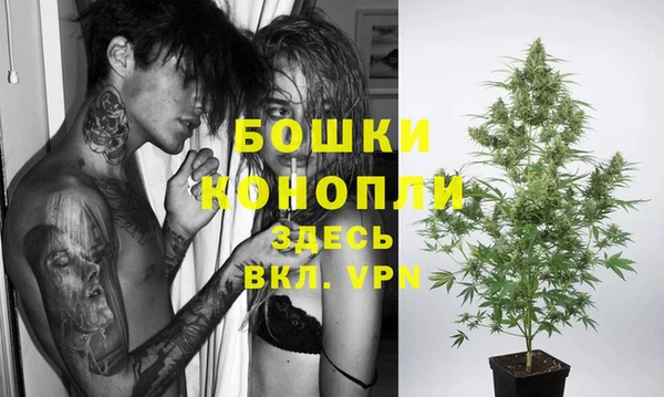 Альфа ПВП Богданович