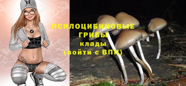 соль курить ск Белокуриха