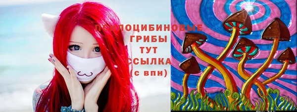 соль курить ск Белокуриха